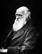 Triumf Darwina Ewolucja cech specyficznie ludzkich była związana z szeregiem cząstkowych zmian dotykających różnych genów Koncepcja