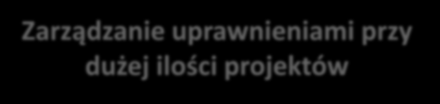 dużej ilości projektów