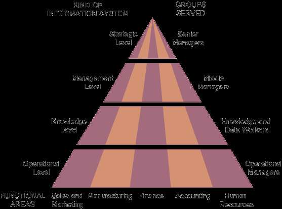 Systemy informatyczne Rodzaje systemów informatycznych Rodzaje systemów Obsługiwane grupy Poziom strategiczny Top management Poziom taktyczny Kierownicy średniego szczebla