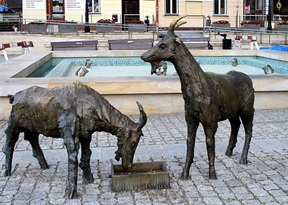 Rzeźby zostały ustawione koło nowej fontanny w południowej części rynku. Koziołki są symbolem brzeskiego Browaru Okocim.