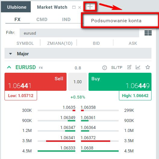 Okno Market Watch zawiera także informacje o rachunku w zakładce