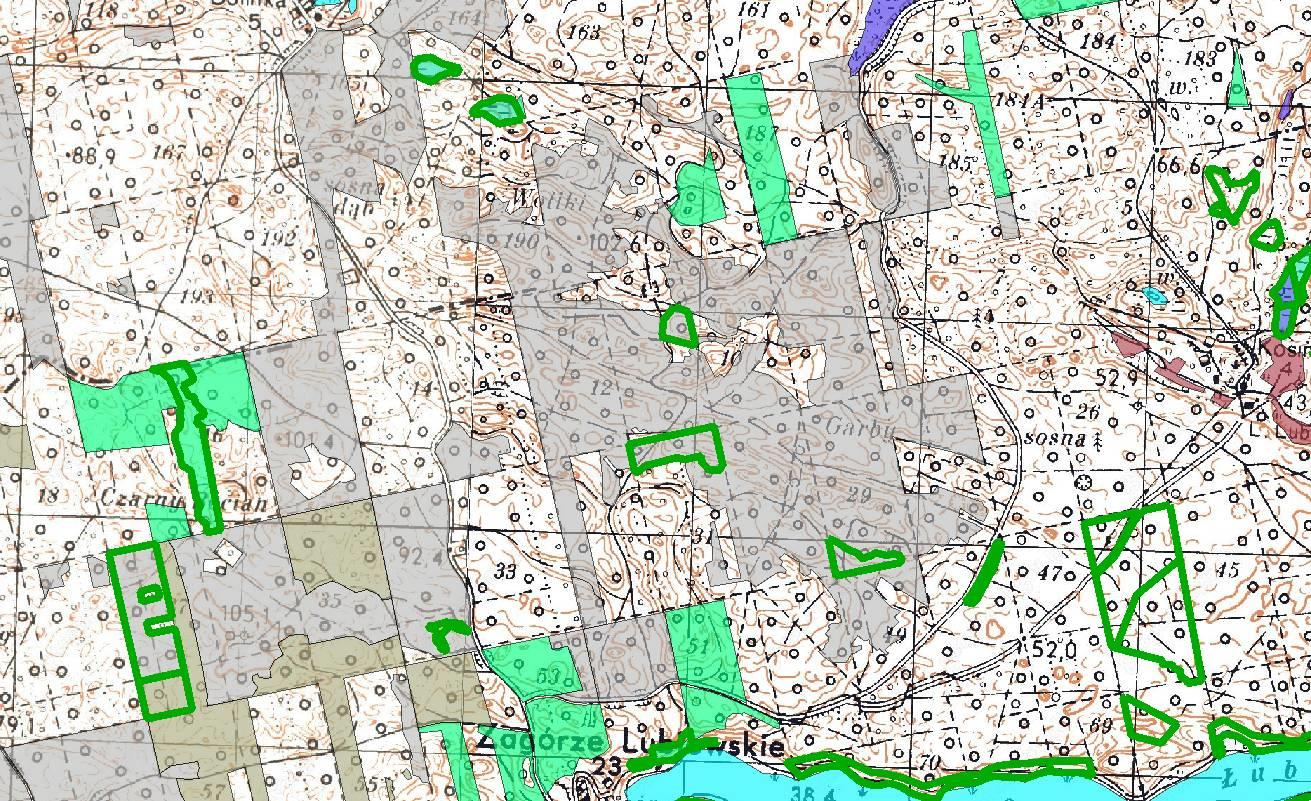 Ostoje bioróżnorodności / ksylobiontów = wyłączone z gospodarki