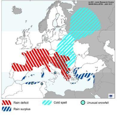 Strona 3 z 8 Kondycja upraw w Europie i na świecie Według ostatnich ocen unijnego ośrodka badawczego MARS, szkodzenia mrozowe w uprawach w Europie są stosunkowo niskie pomimo mrozów, które nawiedziły