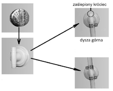 POŁĄCZENIA HYDRAULICZNE: zaślepiony króciec dysza górna Przed wykonaniem połączeń hydraulicznych należy zamontować dysze natryskowe w tylnych szybach.