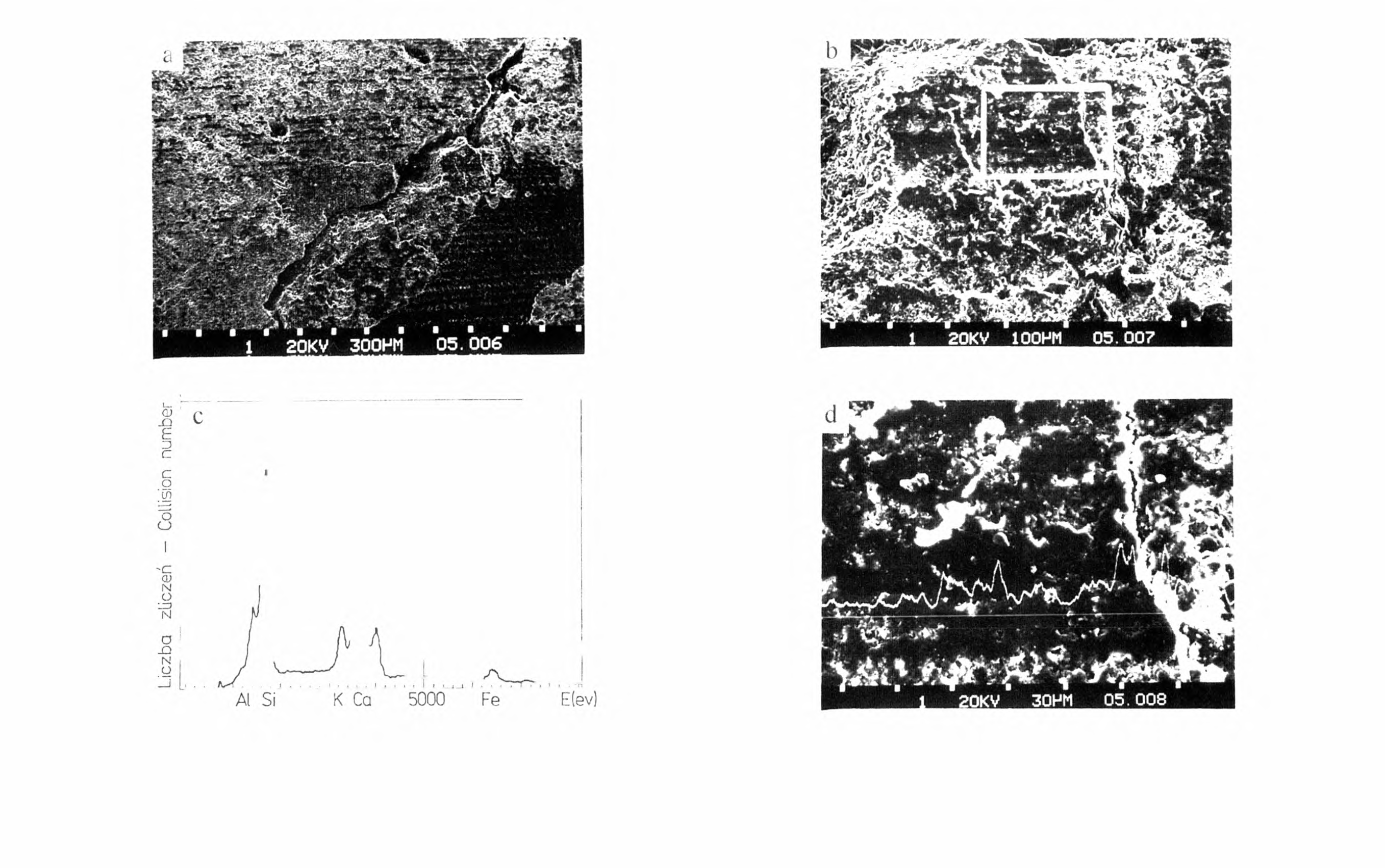 FOT. 4- Obraz poziomu Rca (profil nr 2) pod elektronowym mikroskopem skaningowym: a - fragment skały, b -