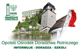 Rola Lokalnych Grup Działania Opolszczyzny w promocji dziedzictwa kulturowego Urszula Szachowicz Opolski Ośrodek Doradztwa Rolniczego dziedzictwo Kamień Śląski LEADER Celem osi 4 jest aktywizacja