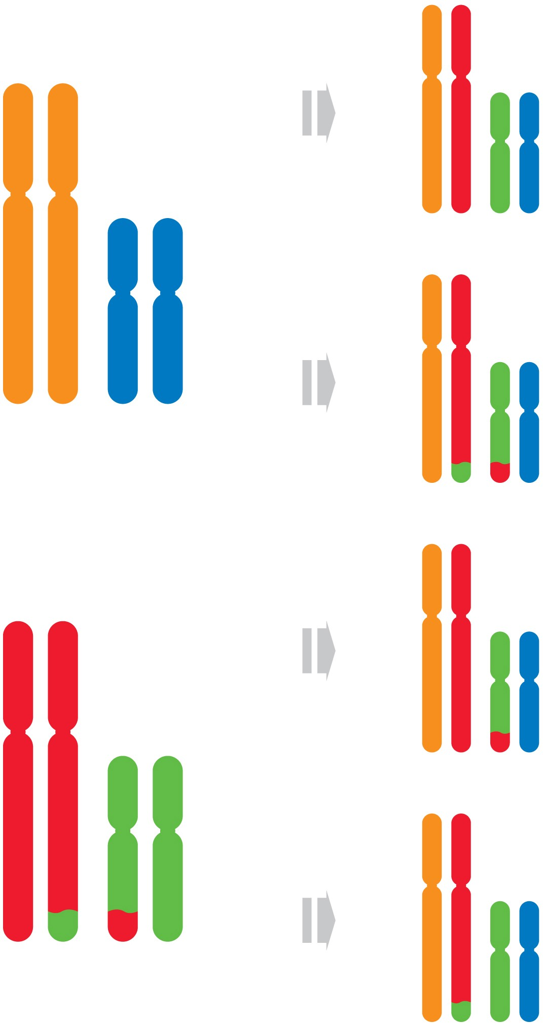 Jesteś w ciąży: Jak wcześnie można zbadać chromosomy dziecka?