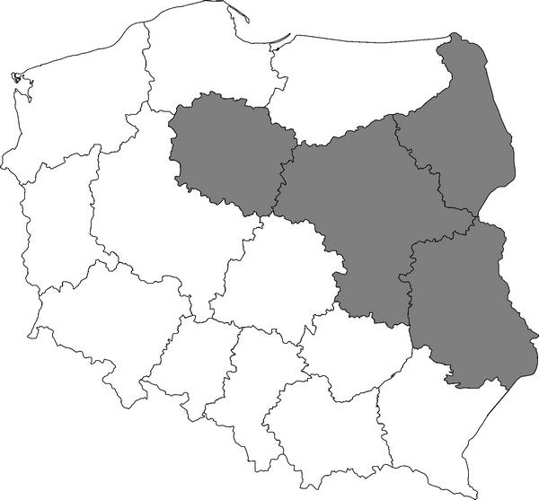 Ponadto w okresie sprawozdawczym Związek Powiatów Polskich zrealizował bezpłatne warsztaty tematyczne zatytułowane PUBLICZNY TRANSPORT ZBIOROWY - prawne aspekty prawidłowej realizacji zadań
