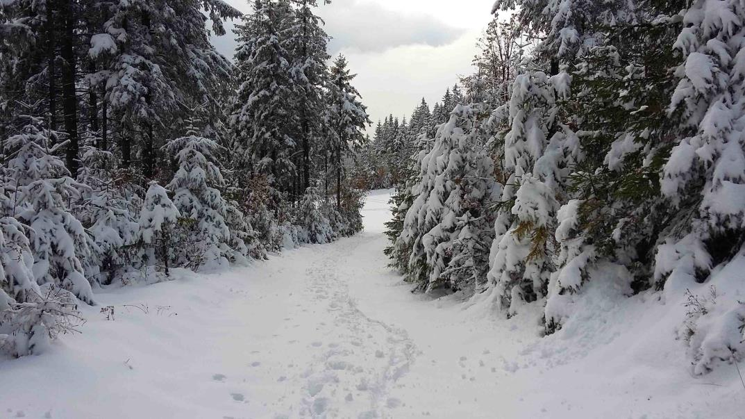 10 października, następnie późna jesień trwała do 8 listopada. Meteorologiczna zima rozpoczęła się jeszcze w pierwszej połowie listopada i trwa nadal.