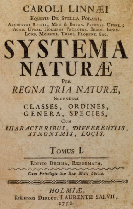 NOMENKLATURA taksonomii linneuszowskiej Systema Naturae wydanie z 1758 roku hierarchia taksonów: Regnum, Phylum (Divisio), Classis, Ordo, Familia, Genus, Species taksony muszą być monofiletyczne (=