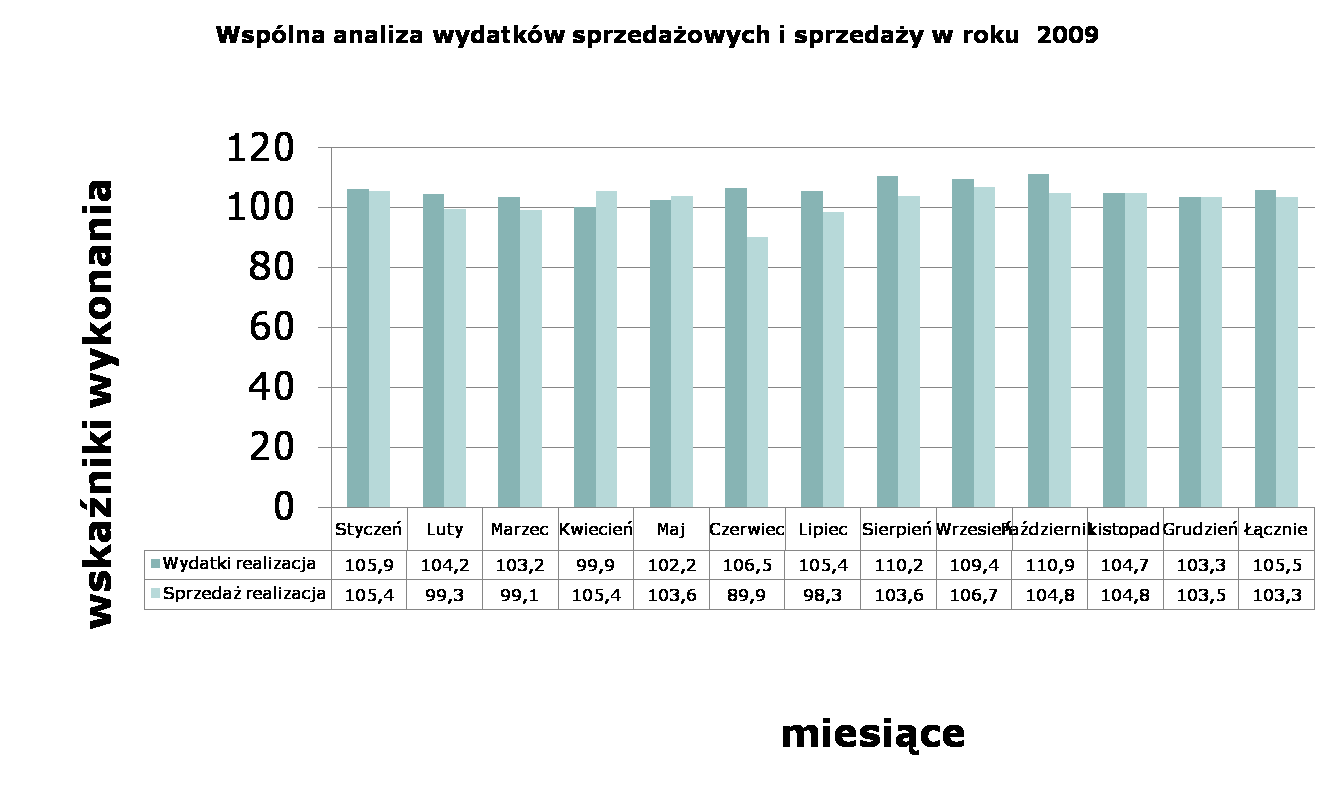 Analiza wydatków