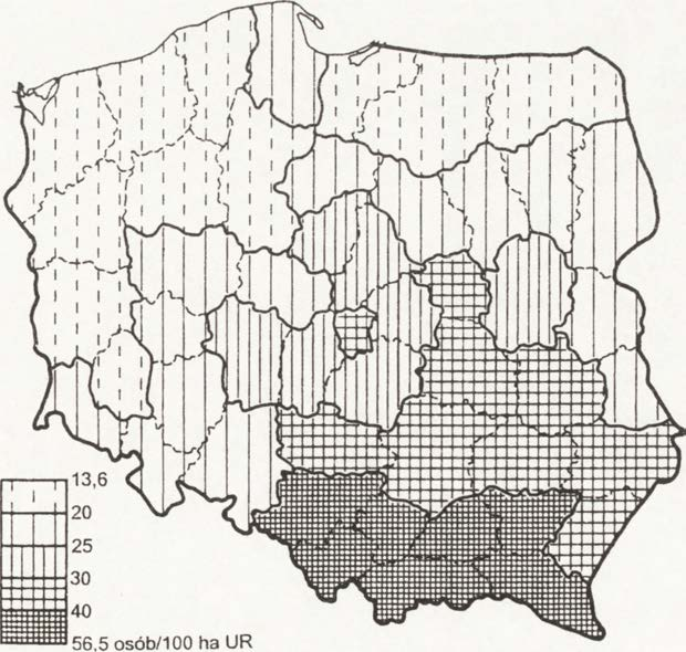 Rye. 39. Udział gospodarstw indywidualnych o wielkości pow.