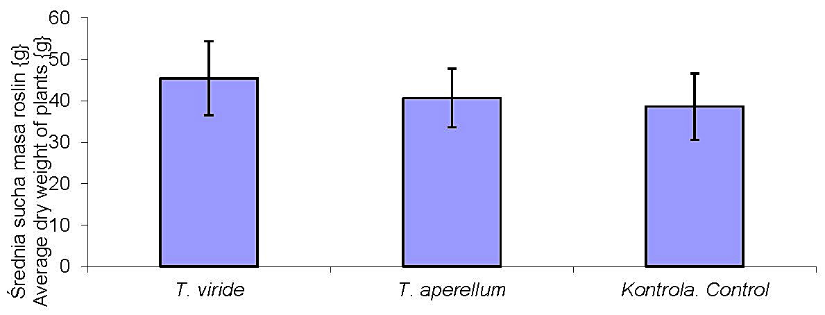 Rys. 5. Średnia zawartość suchej masy roślin traktowanych preparatami T. viride i T. asperellum Fig. 5. Average dry weight of tomato plants treated with T. viride i T. asperellum mixtures Rys. 6.