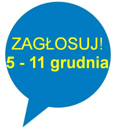 internetowej do głosowania; za pośrednictwem poczty; w 23 punktach do głosowania w całym mieście.