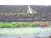 Strefa ochronna Definicja I Strefa ochronna (buforowa) to powierzchnia oddzielająca miejsce wykonywania zabiegów od terenów podlegających specjalnej ochronie (wody powierzchniowe, ujęcia wody, drogi,