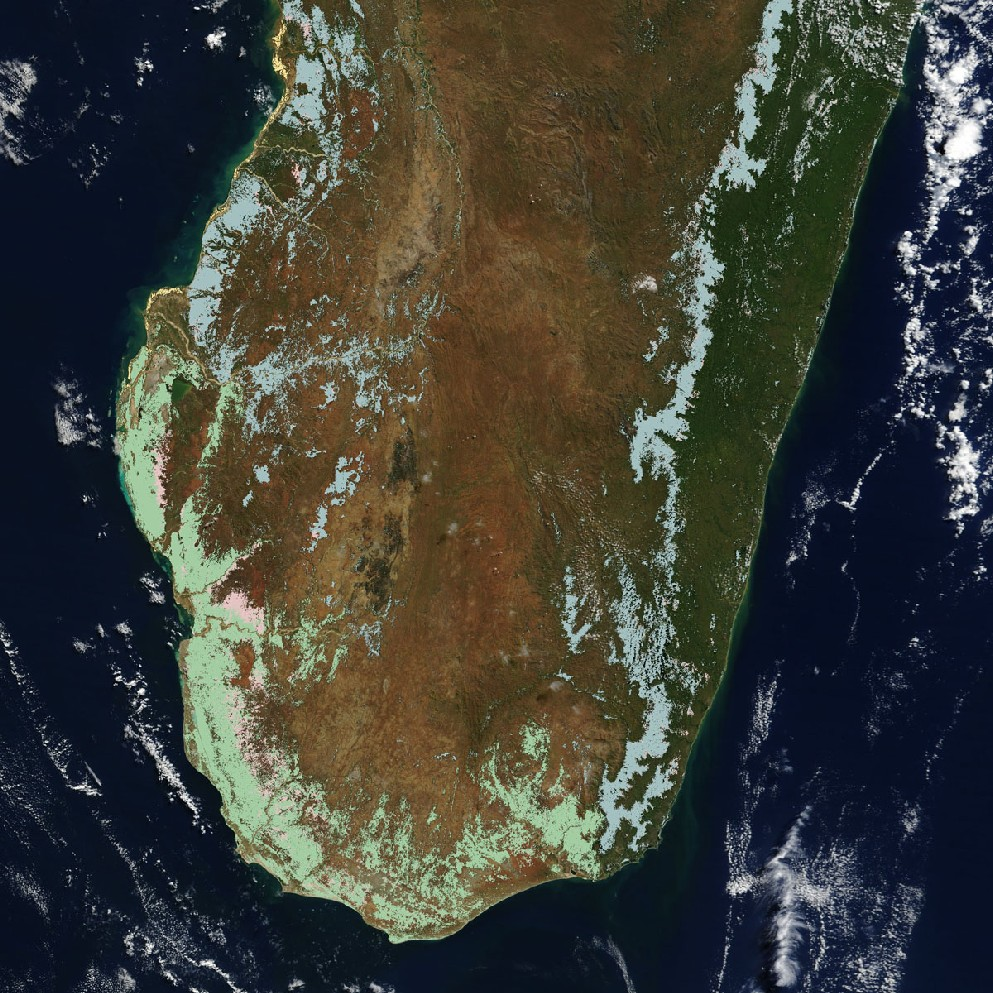 Wylesianie