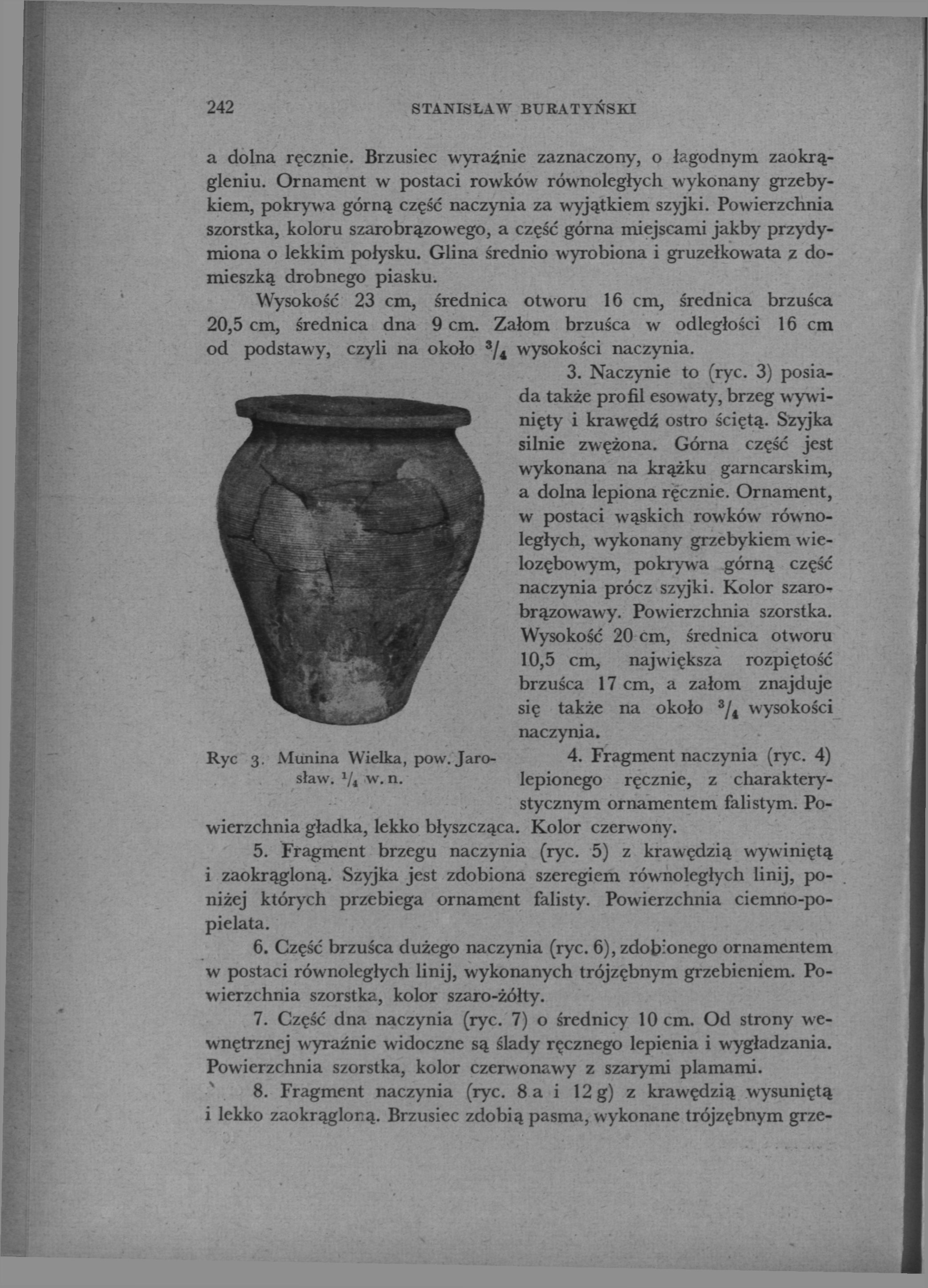 242 STANISŁAW BURATYŃSKI a dolna ręcznie. Brzusiec wyraźnie zaznaczony, o łagodnym zaokrągleniu.