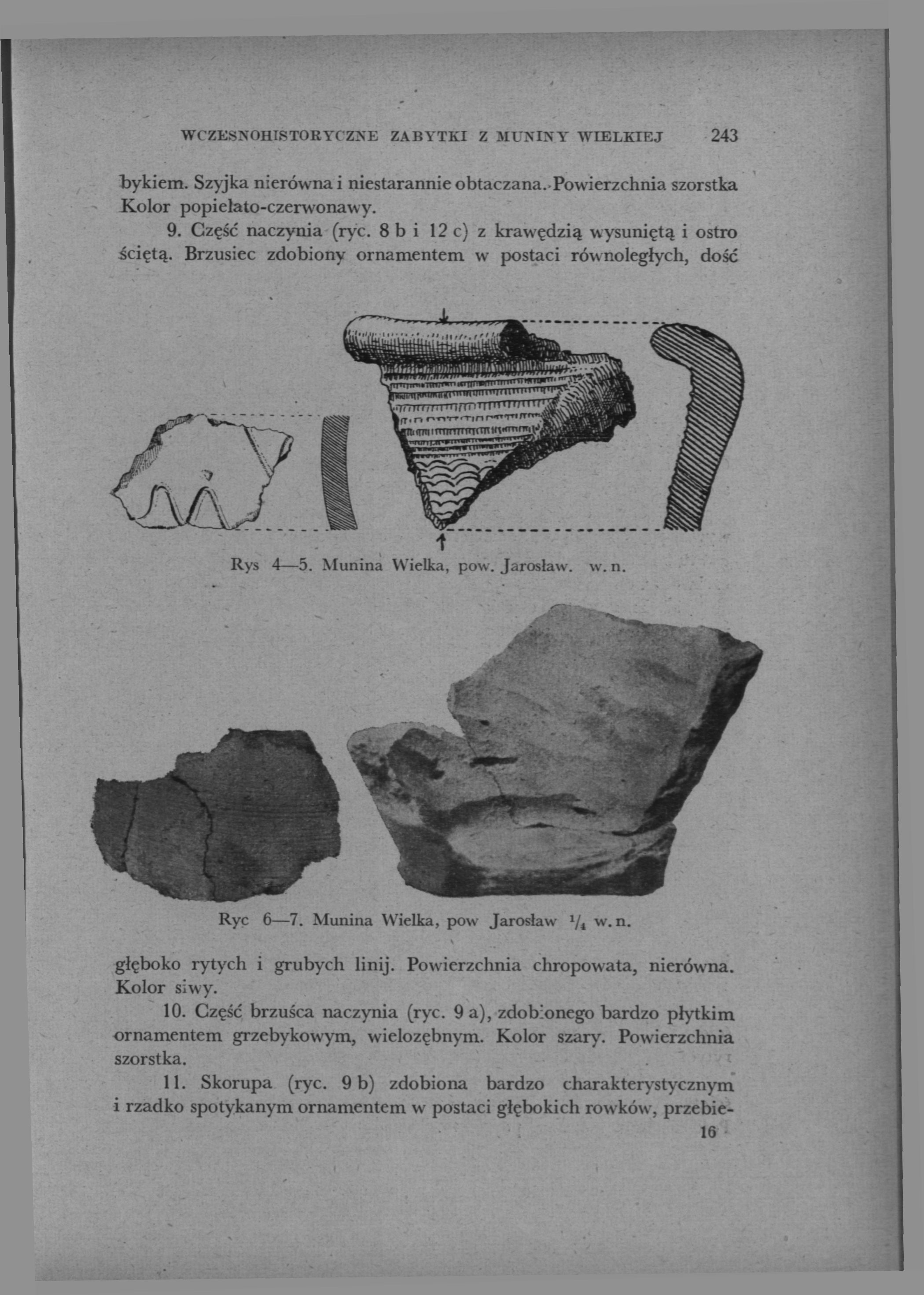 WCZESNOHISTORYC Z>E ZABYTKI Z MUNINY WIELKIEJ 243 bykiem. Szyjka nierówna i niestarannie obtaczana.powierzchnia szorstka Kolor popielato-czerwonawy. 9. Część naczynia (ryc.