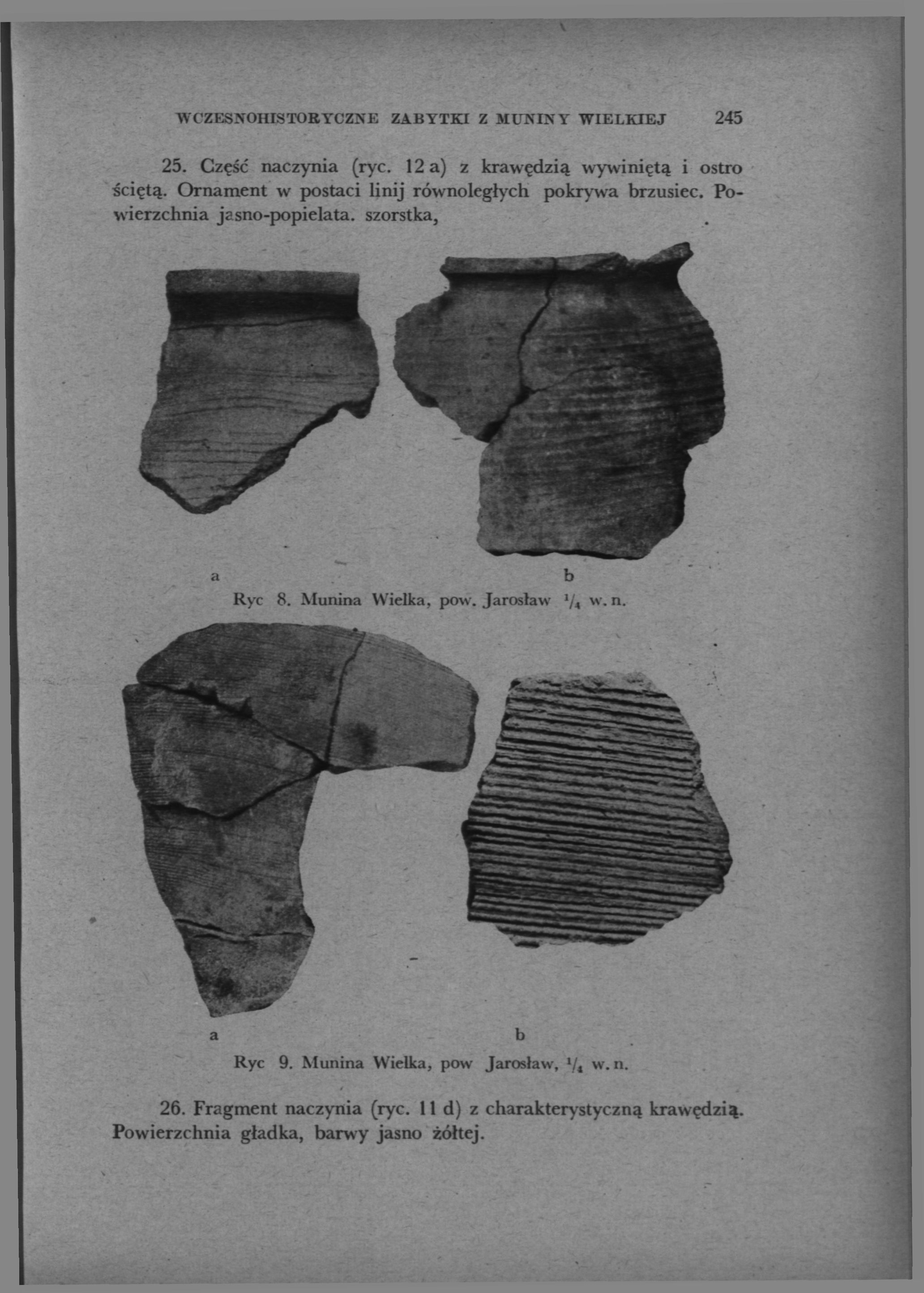 WCZESNOHISTORYCZNE ZABYTKI Z MUNINY WIELKIEJ 245 25. Część naczynia (ryc.