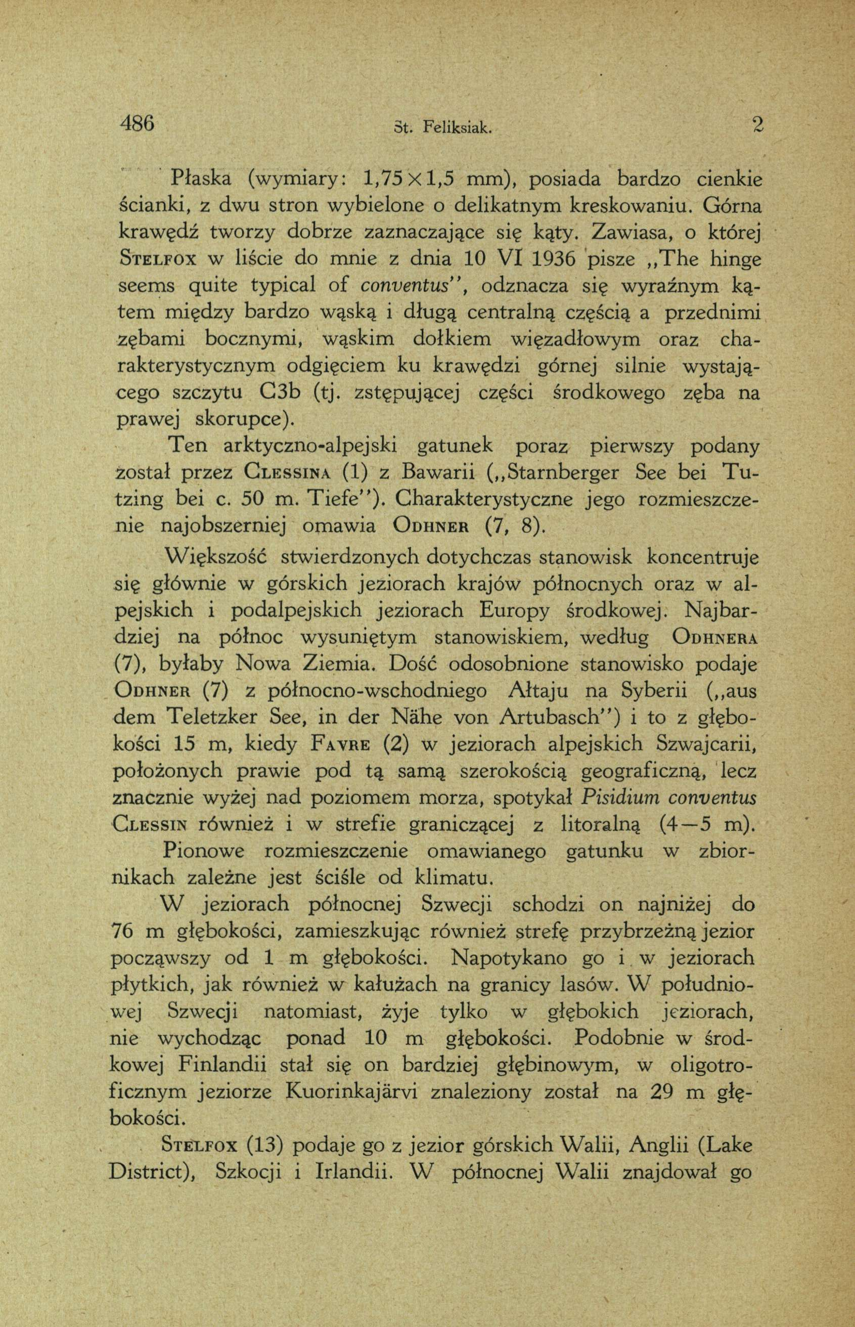 486 St. Feliksiak. 2 Płaska (wymiary: 1,7 5 x 1,5 mm), posiada bardzo cienkie ścianki, z dwu stron wybielone o delikatnym kreskowaniu. Górna krawędź tworzy dobrze zaznaczające się kąty.