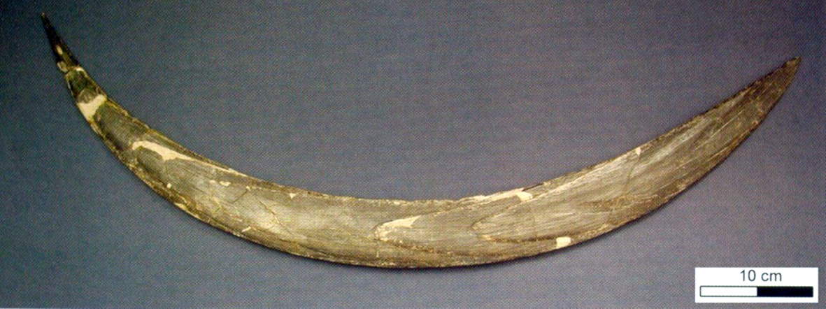 Górnictwo i Geoinżynieria Rok 33 Zeszyt 3/1 2009 Janusz Chmura* ZABEZPIECZAJĄCE PRACE GÓRNICZE W OBIEKTACH ARCHEOLOGICZNYCH ZABEZPIECZENIE JASKINI W OBŁAZOWEJ 1.