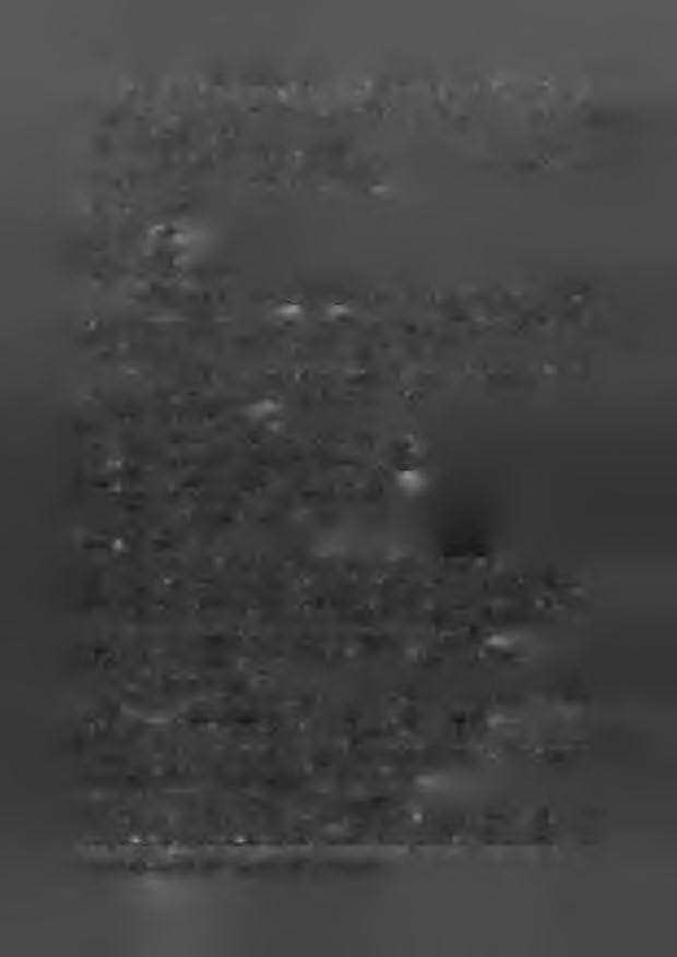 Ośrodek zrealizował również wypłatę 1917 zasiłków pielęgnacyjnych, 220 świadczeń pielęgnacyjnych, 121 specjalnych zasiłków opiekuńczych oraz 28 jednorazowych zapomóg z tytułu urodzenia się dziecka.
