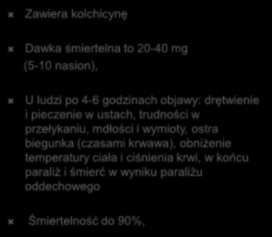 się podjednostek tubulinowych, które stale rosną, a nie są w stanie się skraca Leki antynowotworowe (antymitotyczne) stabilizują