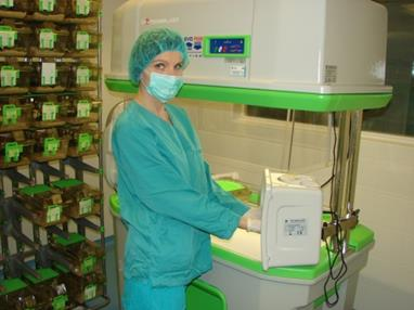 Wymiana klatek odbywa się w stacji wymiany klatek z przepływem laminarnym powietrza, wyposażonej dodatkowo w podajnik paszy i dozownik środka dezynfekcyjnego (Fot.7). Fot.1.