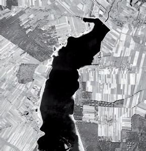 Ortofotomapy wygenerowano na fotogrametrycznej stacji cyfrowej firmy Intergraph w skali 1:5000 z pikselem o rozdzielczo ci terenowej 0,5 m. (rys. 2a i 2b) [Kwoczy ska 2005].