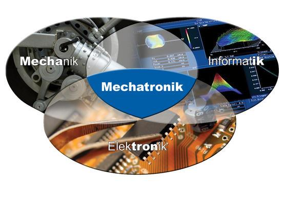 Przykładowe kierunki kształcenia Technik mechatronik Technik budownictwa Technik żywienia i usług gastronomicznych