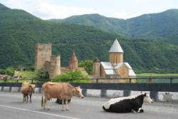 Wyjazd do KUTAISI, drugiego co do wielkości miasta Gruzji. Zwiedzanie katedry BAGRATI z XI w. oraz historyczno architektonicznego kompleksu w GELATI z XII w.