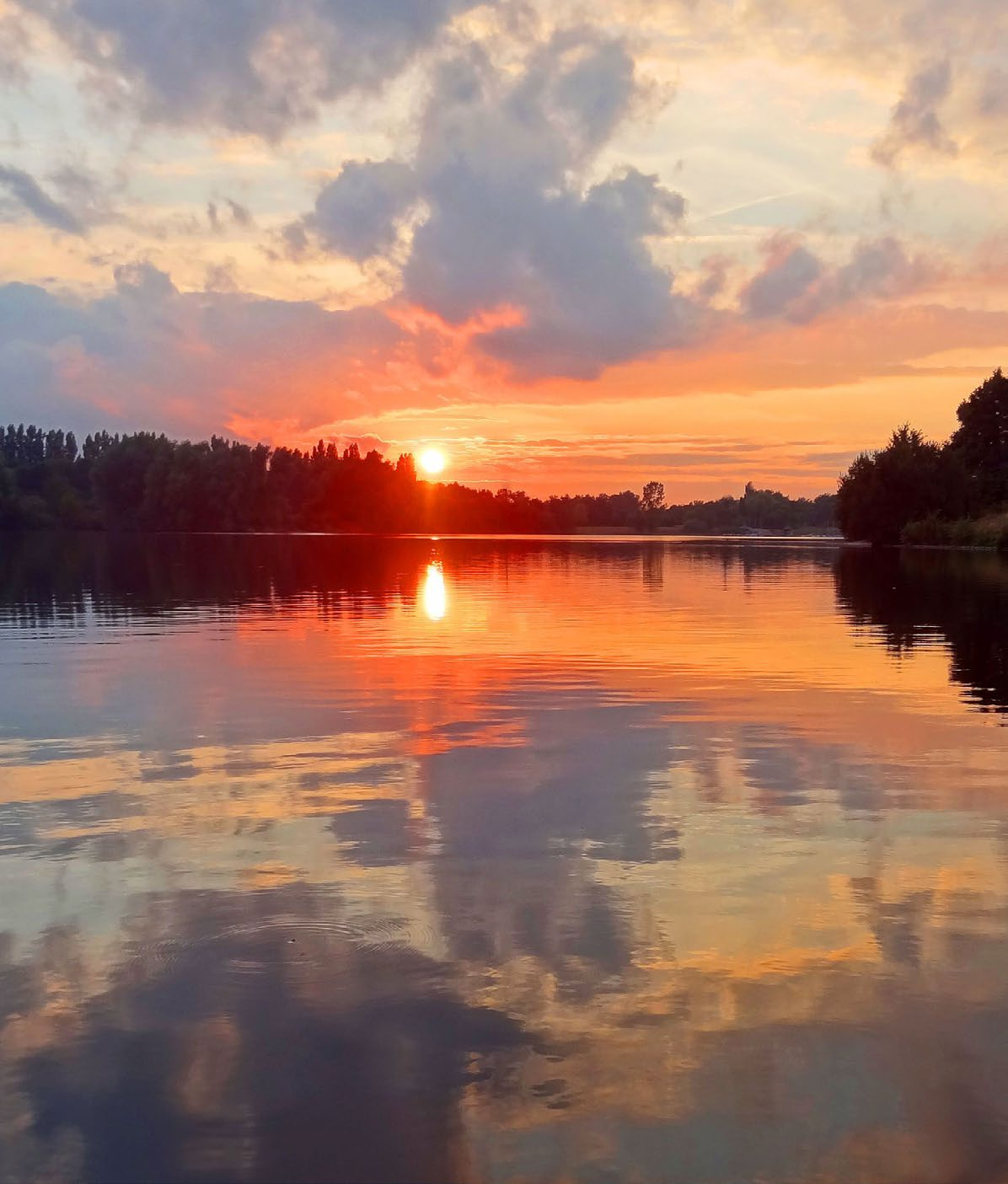 Działalność