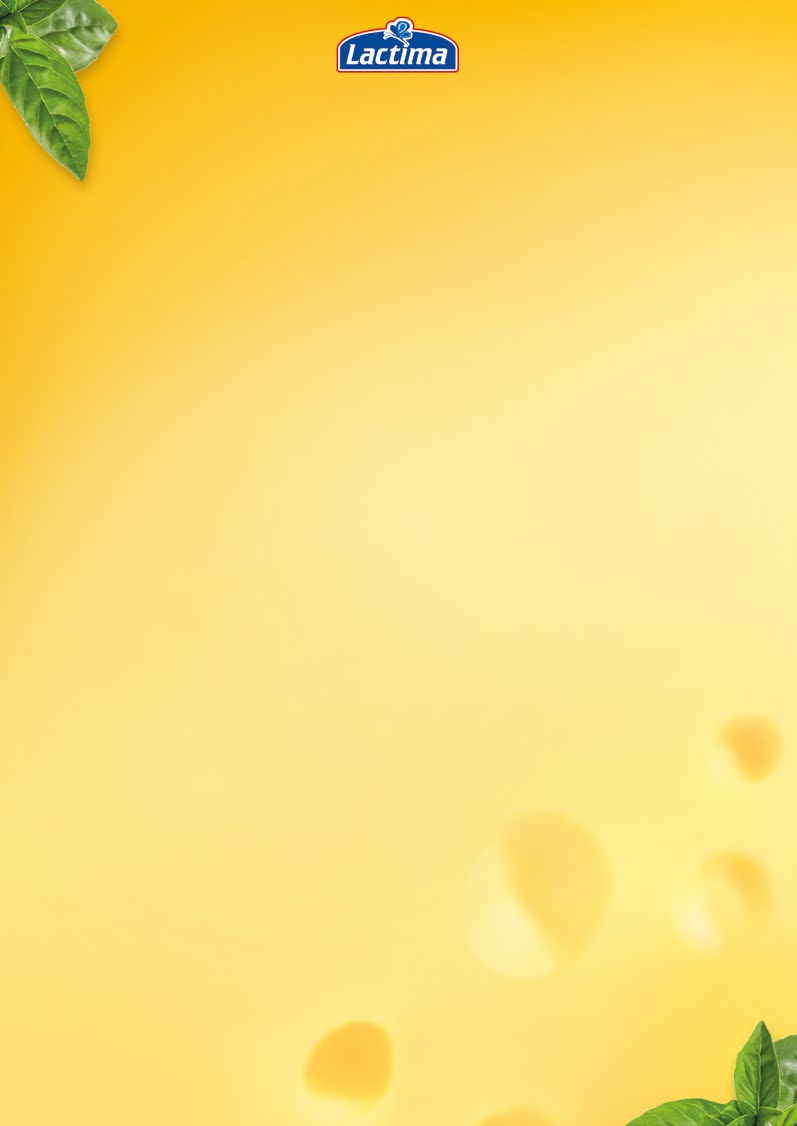 Processed cheese Bistro XXL 8
