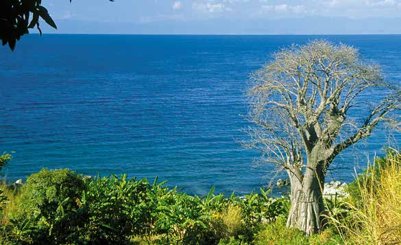 Malawi 
