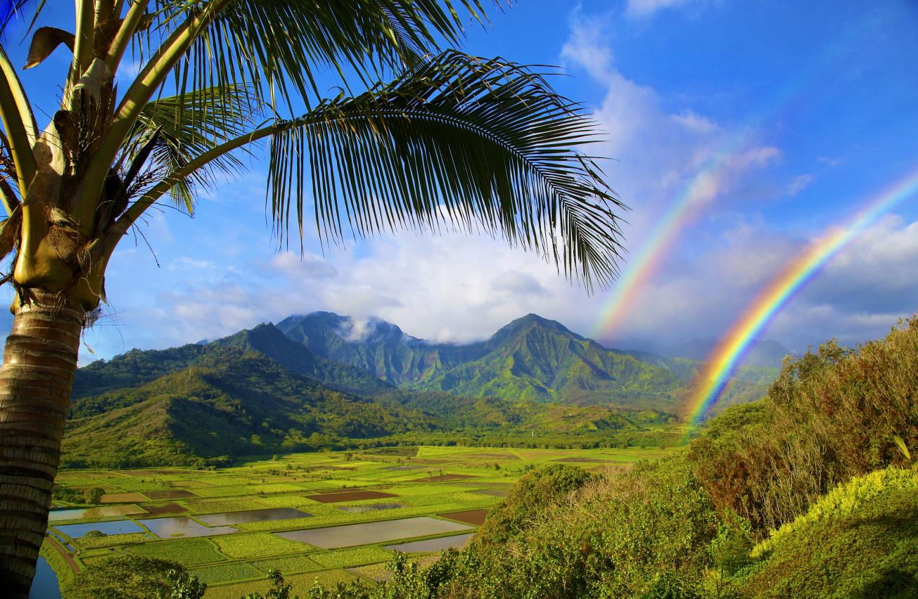 8.Kauai (Hawaje, USA) Zdjęcie: gohawaii.com Wzgórza i ocean, lasy tropikalne i zjawiskowe wodospady oraz absolutnie wybuchowa mieszanka widoków.