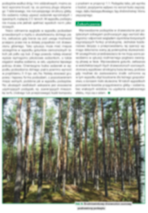 kształtuje strefy ekotonowe na ścianach drzewostanów?
