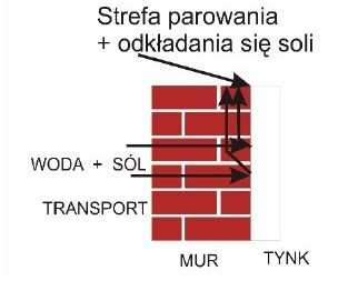 OPIS MECHANIZMU KOROZJI WSKUTEK ODDZIAŁYWANIA SOLI BUDOWLANYCH W BADANYM OBIEKCIE Sole zawarte w gruncie i materiałach budowlanych występują w postaci chlorków, siarczanów i azotanów.