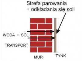 W trakcie odparowywania wody sole krystalizują się i z bardzo dużą siłą niszczą materiał, w którym się znajdują (siła nacisku w czasie krystalizacji wynosi nawet do 2 ton/cm2).