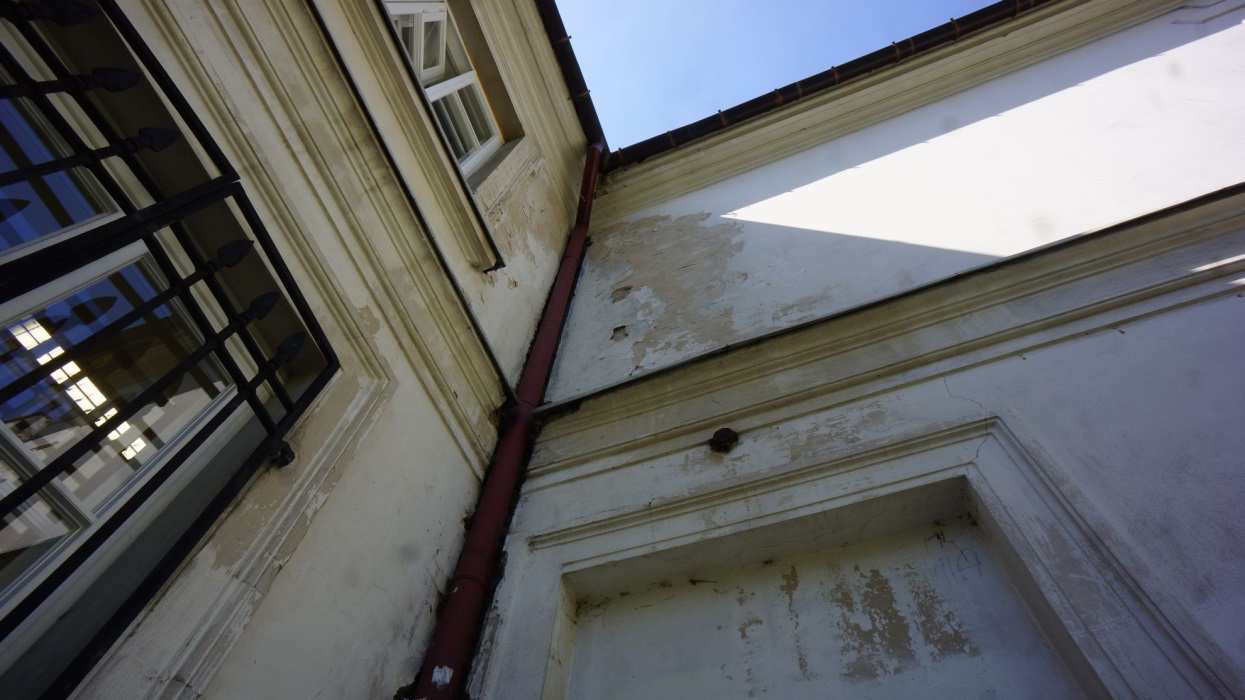 Zawilgocenia w okolicach