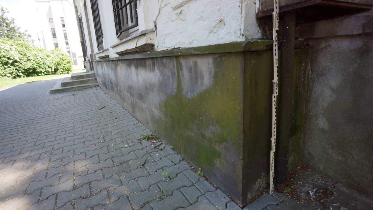 Wilgotne ściany stwarzają bardzo dobre warunki do rozwoju porostów, szczególnie w okresie, gdy w powietrzu znajduje się
