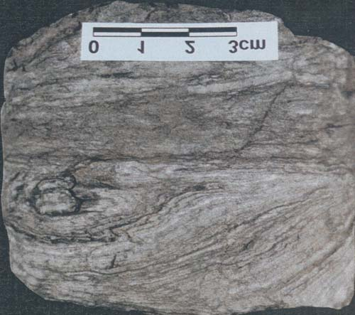 432, 2008 TABLICA