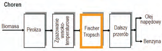 Przemysłowe technologie wytwarzania węglowodorowych biokomponentów paliwowych w wyniku dwustopniowego zgazowania biomasy zostały opracowane m.in. przez firmy Choren i Lurgi.