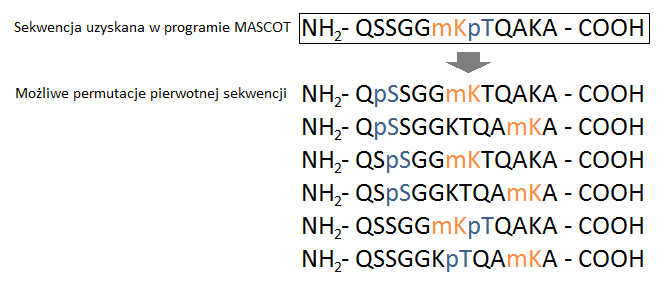 Rys. 5.1. Ustalanie możliwych wersji sekwencji.