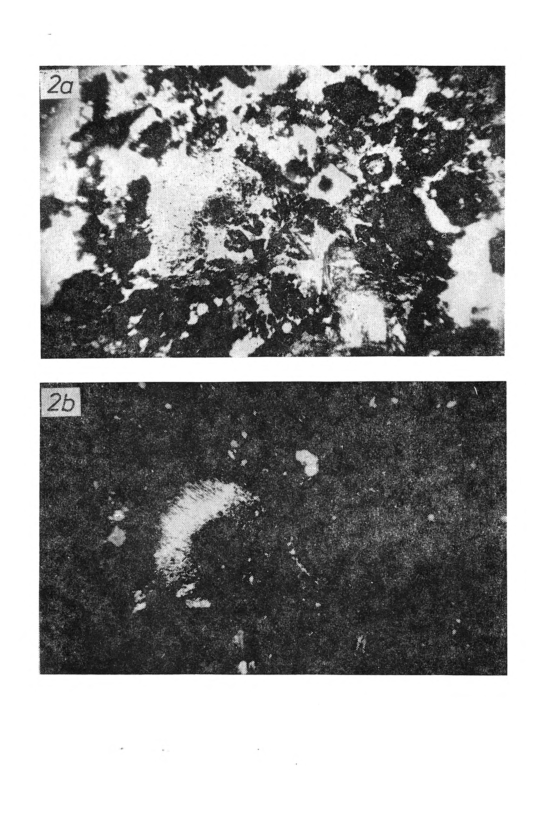 C harakterystyka próchnicy niektórych leśnych gleb Tatr. Cz. III 193 Rys. 2.