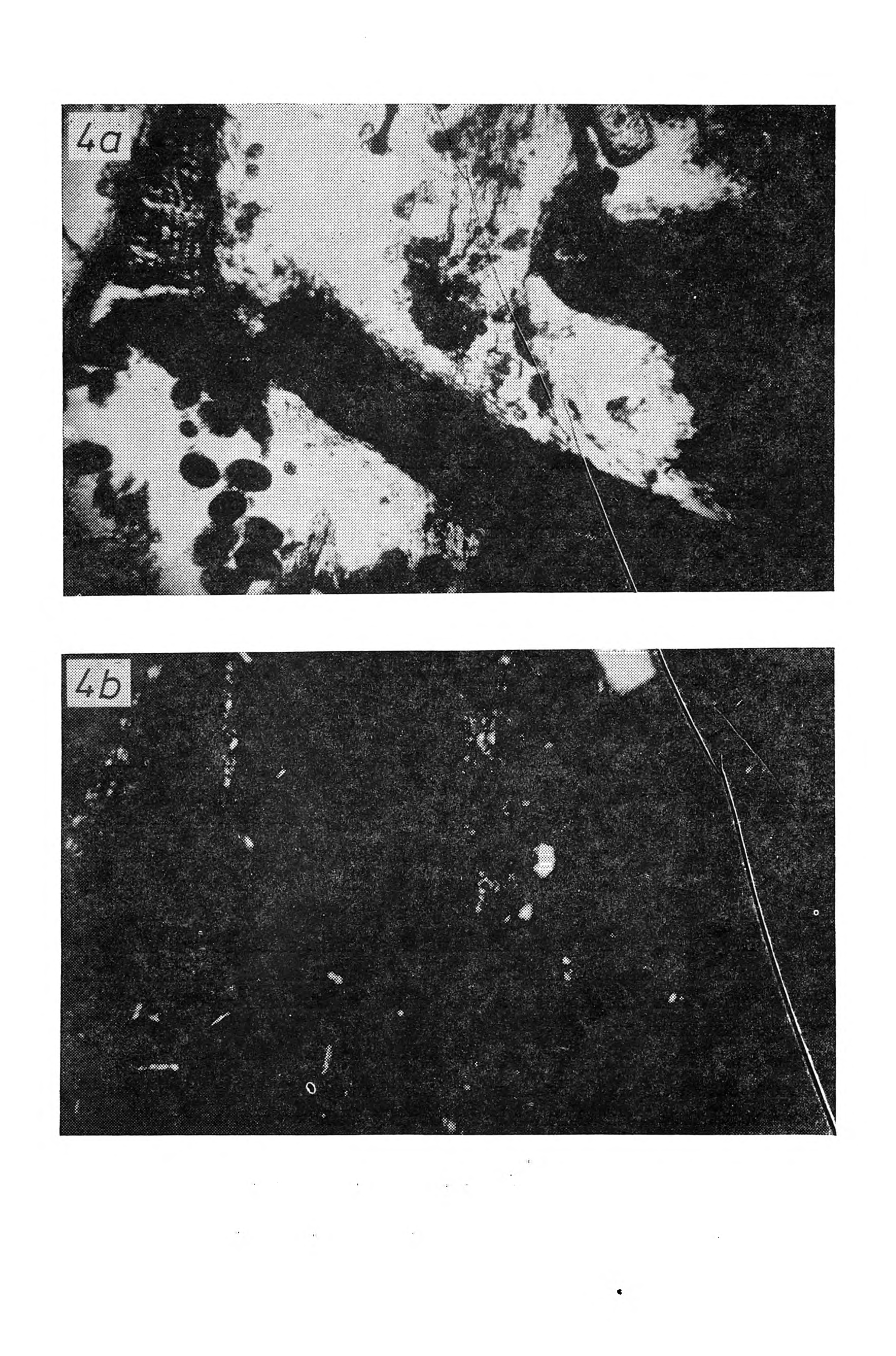 C harakterystyka próchnicy niektórych leśnych gleb Tatr. Cz. III 195 Rys. 4.