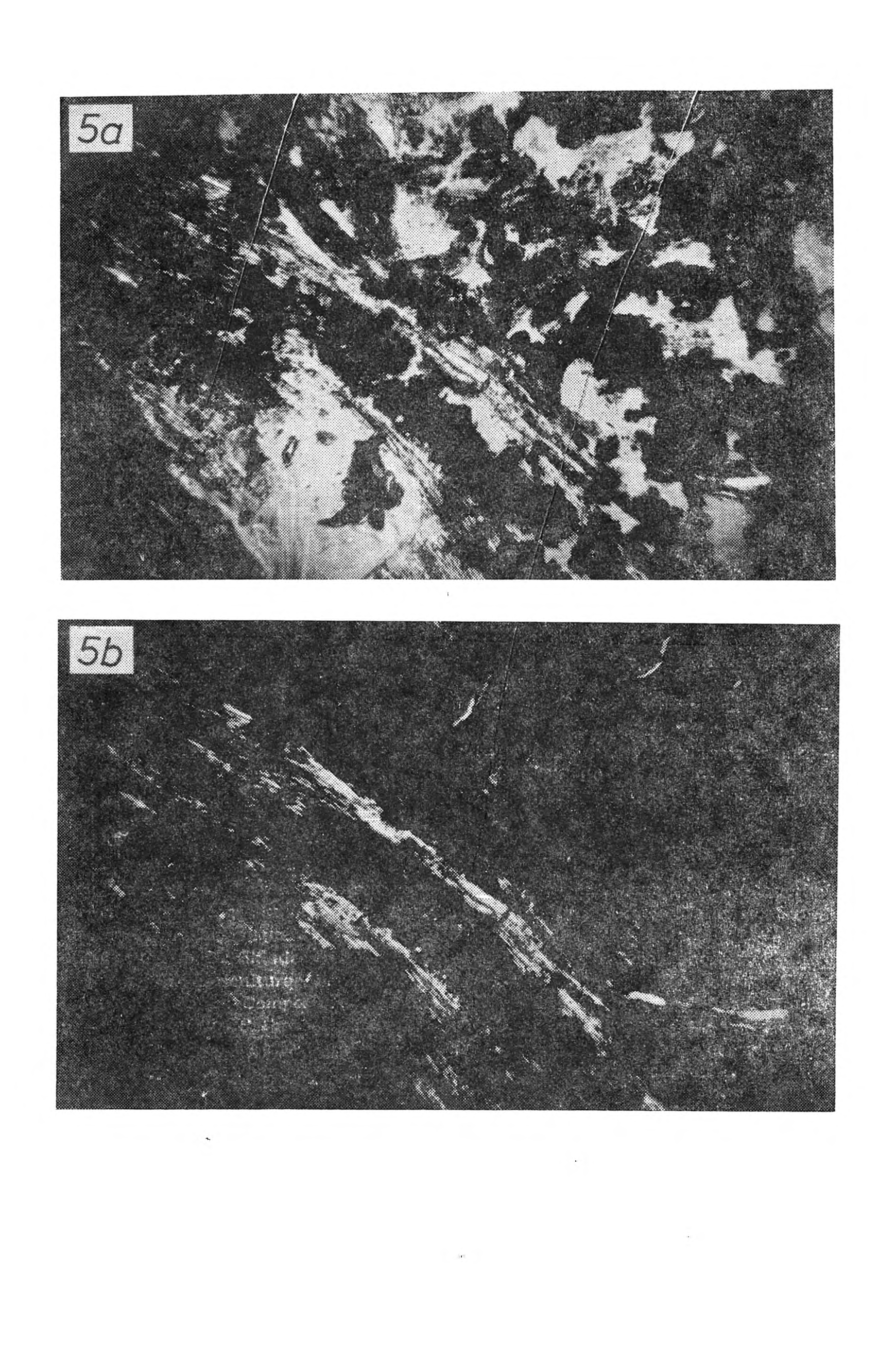 C harakterystyka próchnicy niektórych leśnych gleb Tatr. Cz. III 197 Rys. 5.