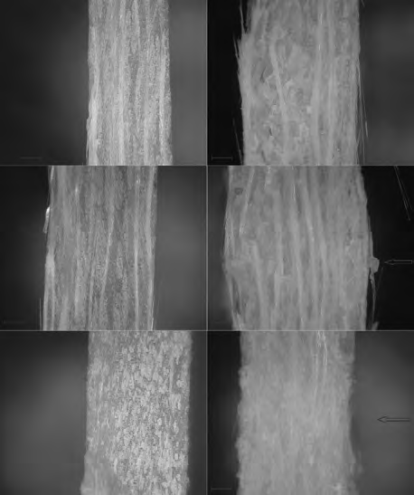 Impact damage in polyester-matrix glass fibre-reinforced composites. Part I. Impact damage extent 233 1.3 MP microscope or used in residual strength tests (see Part II of the paper).