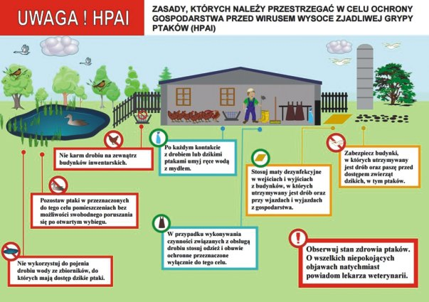 Nale y bezwzglêdne przestrzegaæ zasady bioasekuracji:? zabezpieczyæ paszê przed dostêpem zwierz¹t dzikich;?
