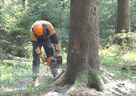zakoñczone, tym samym dnia 22 grudnia 2016 roku, Wykonawc¹ zadania by³a firma Przedsiêbiorstwo mia³ miejsce odbiór wykonanego zadania. MOLTER z G³ogowa Ma³opolskiego.