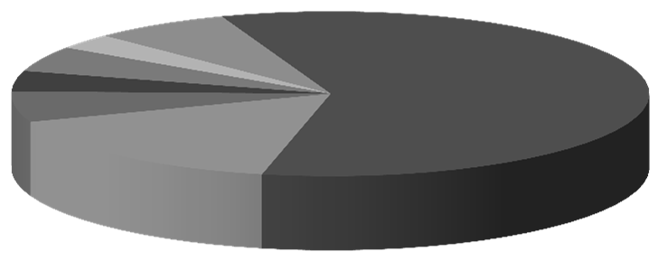 podziemne 47% Czechy 4% Australia 6% Rosja 16% Polska 59% 500 400 działalność core business, ujęcie kwartalne* przychody marża brutto % EBIT % 300 w mln zł 200 100 19,7% 3,4% 28,8% 16,5% 22,9% 12,1%